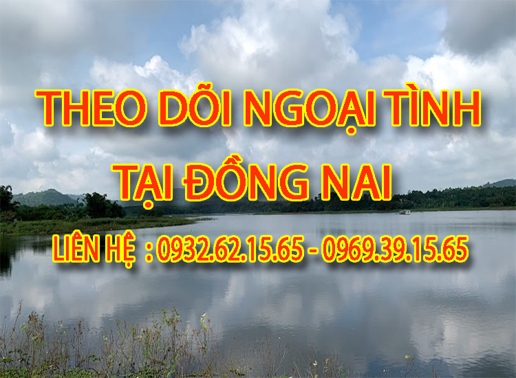 Dịch vụ theo dõi theo yêu cầu chuyên nghiệp tại Đồng Nai 1